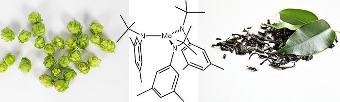 Ingredients of Phen24 Nightime